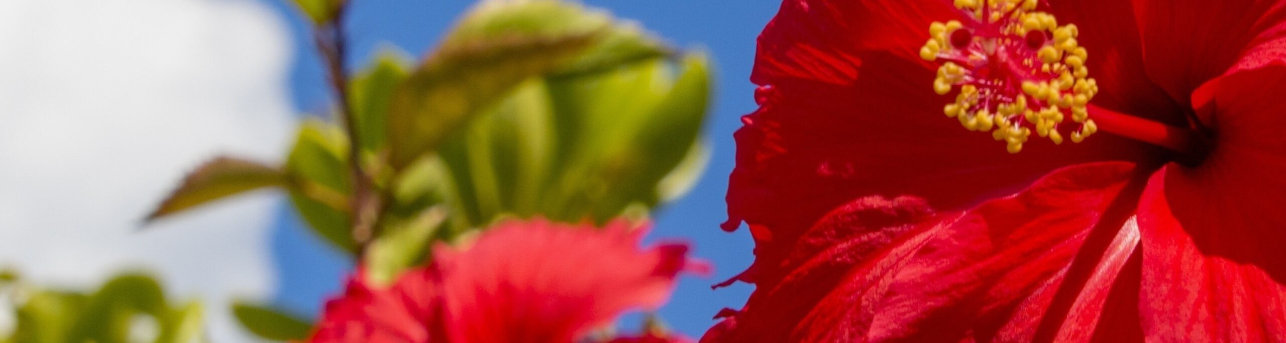 #slidecaption1 説明文章1